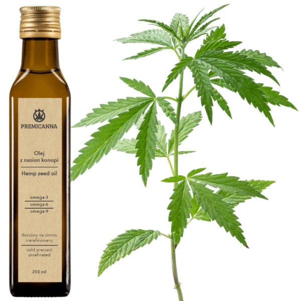 HEMP OIL 250ml 100% pure – Bild 3